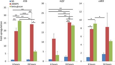 Secretome Profiling of Atlantic Salmon Head Kidney Leukocytes Highlights the Role of Phagocytes in the Immune Response to Soluble β-Glucan